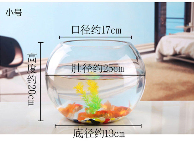 893f5abb-0995-4fa0-b942-09082a47aba0.jpe