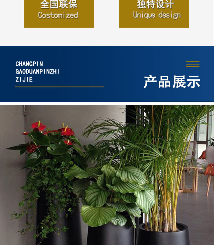详情_03.jpg