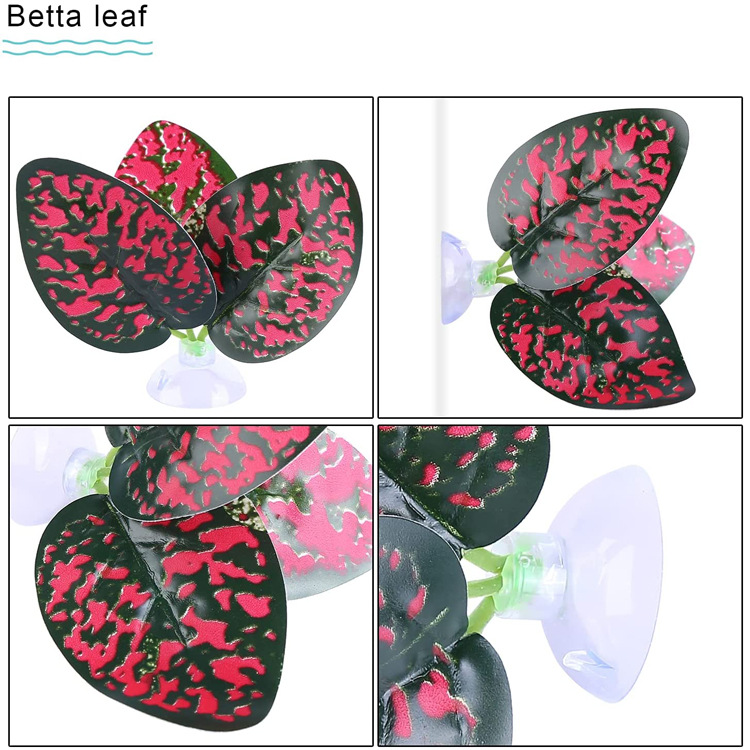 71IidgRV1gS._AC_SL1500_