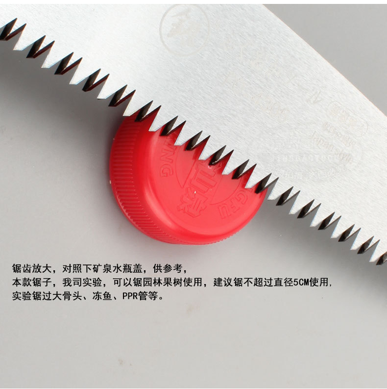 tm43023456_12.jpg