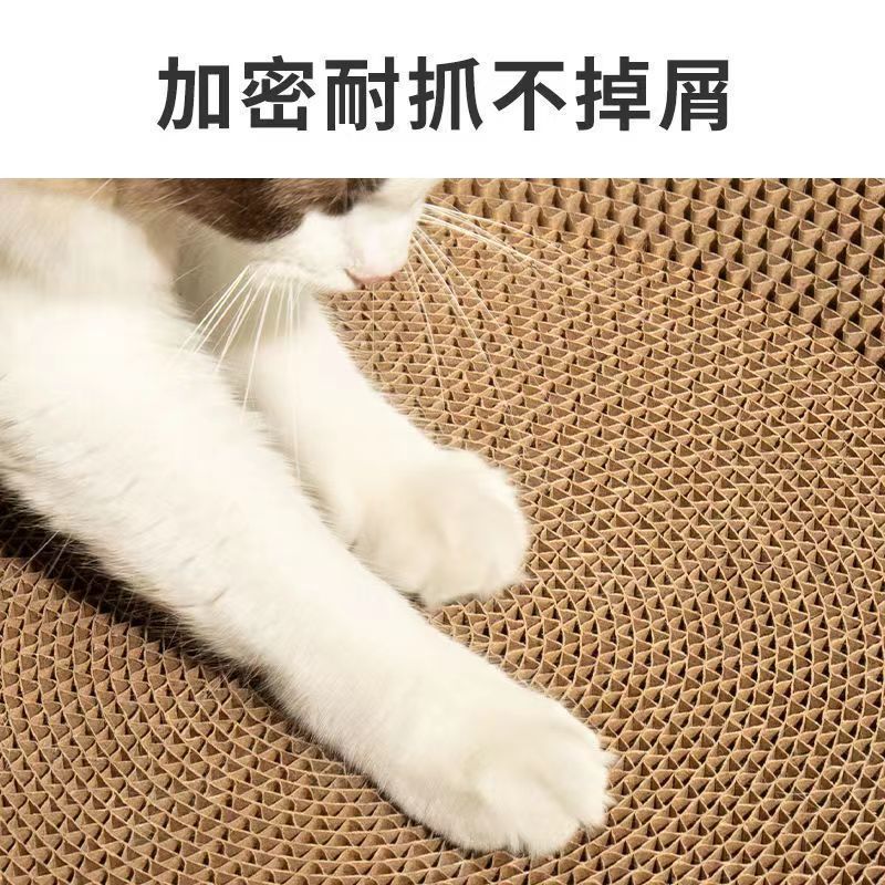 c4fd2318-f115-4cd2-81df-5c2b35e494de.jpe