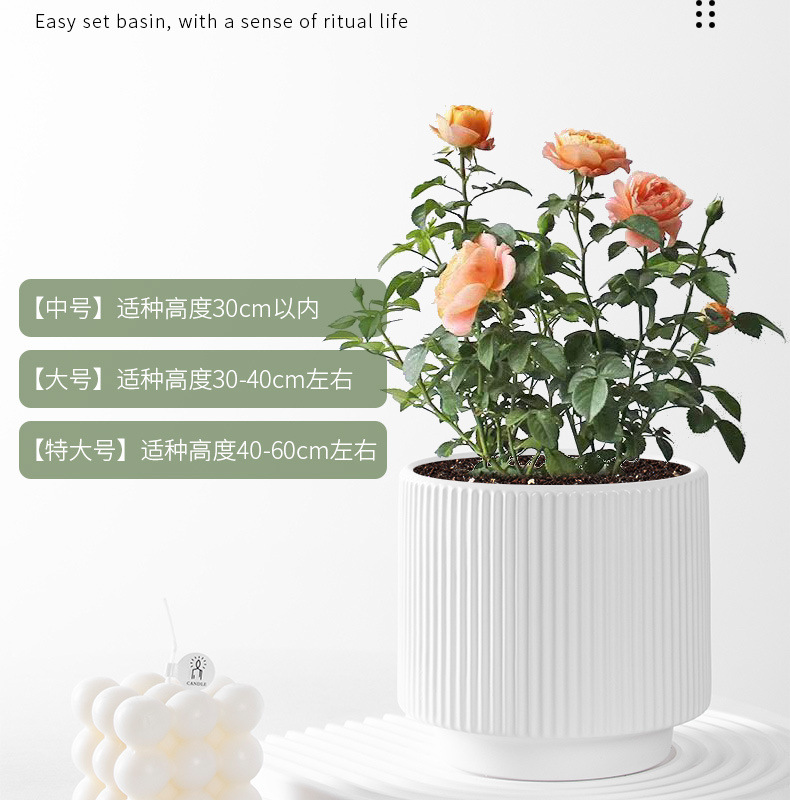 4dfd5b5b-81a9-4e42-8a1c-c3ea7603a28f.jpe