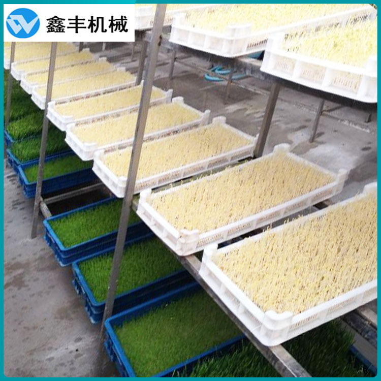 生豆芽机 (6).jpg