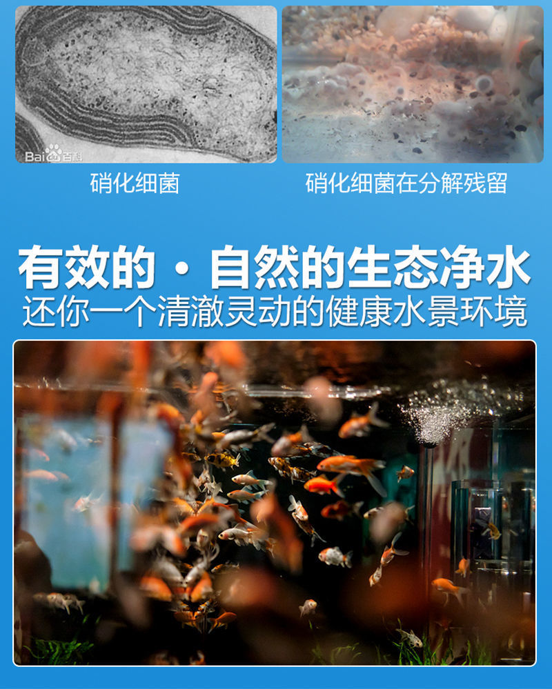 7b6becec-cabf-4ecb-875d-95299cc48715.jpe