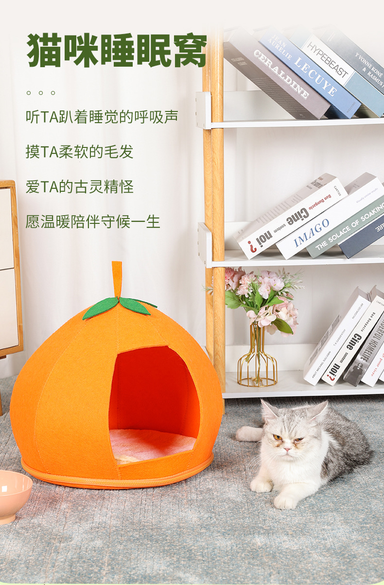 橘子宠物窝_11.jpg