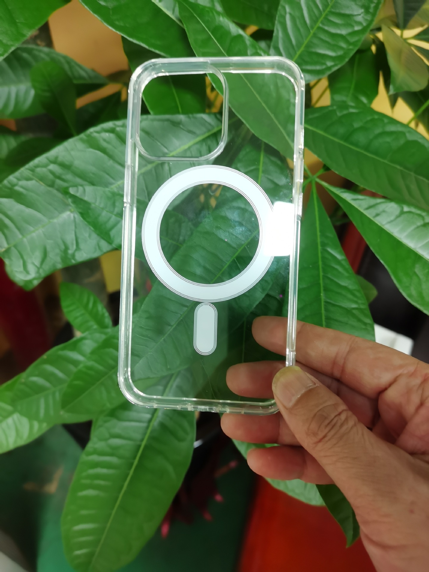 9e5477d715bd9be1e5b6c3c0355b29