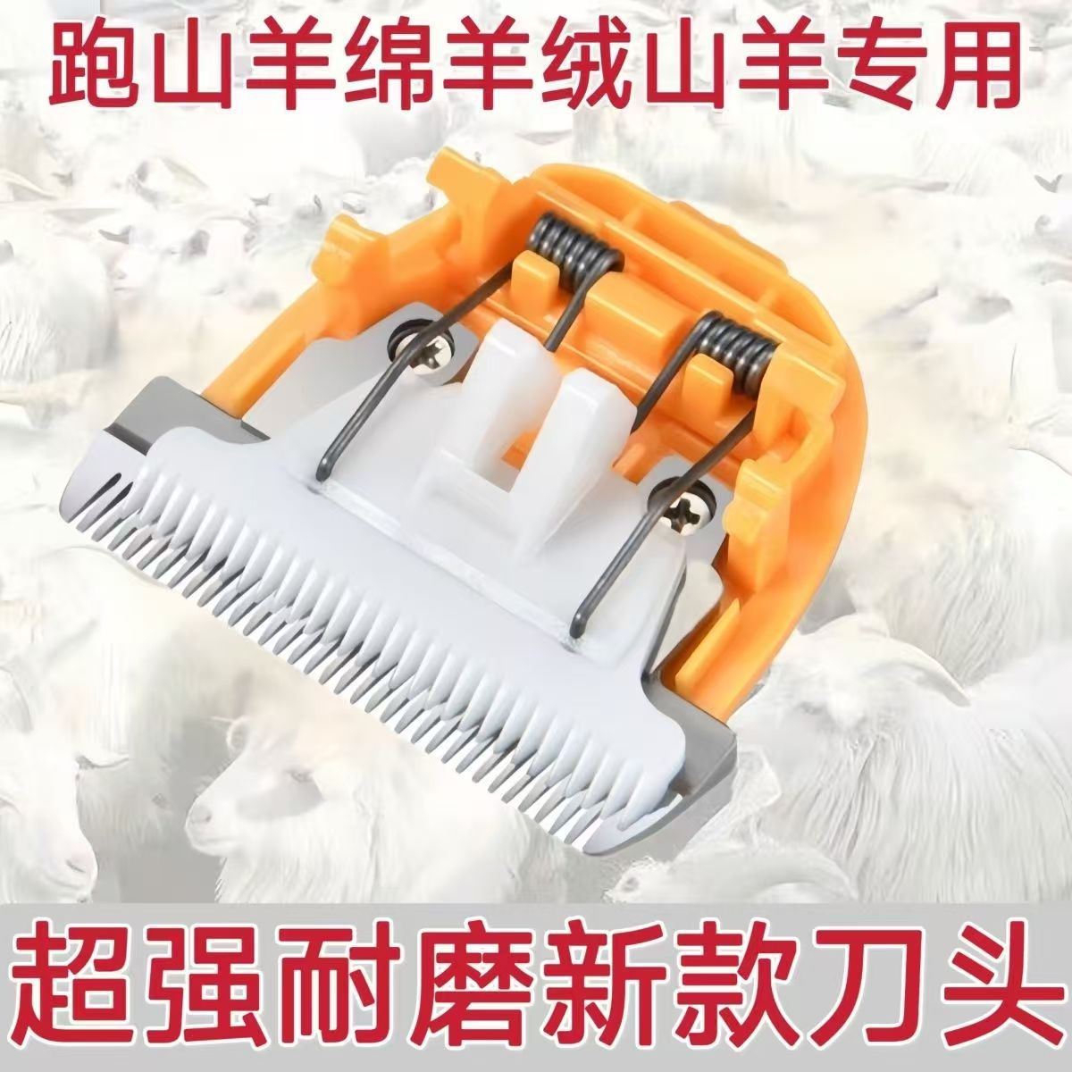 微信图片_20250216185229