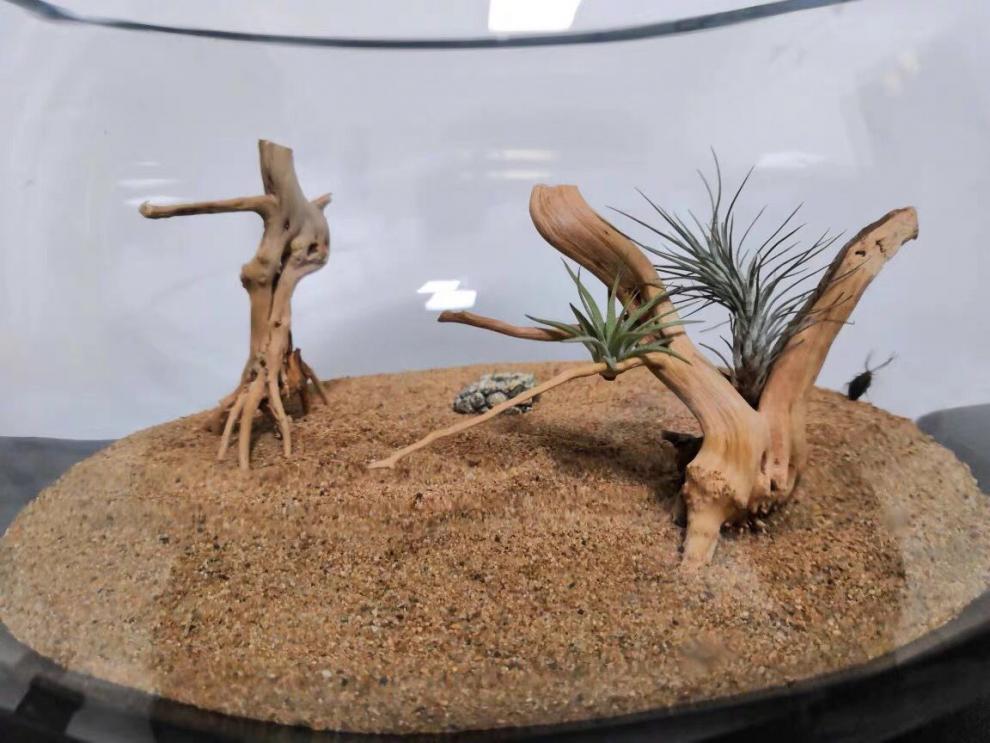 2da62f1d-1fc2-4a50-acf1-ae589af7b333.jpe