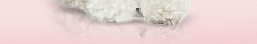 e855d03e-e914-4123-a560-98cbcc40e1da.jpe