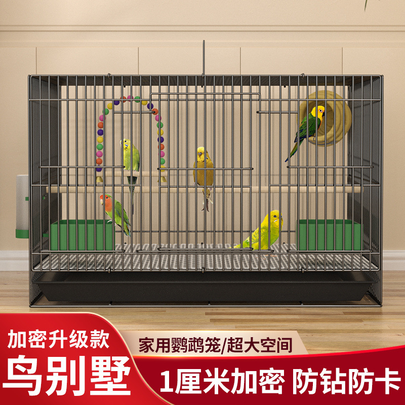 f71a60a8-bbbf-46ca-a7d1-b2436faa38ec.jpe