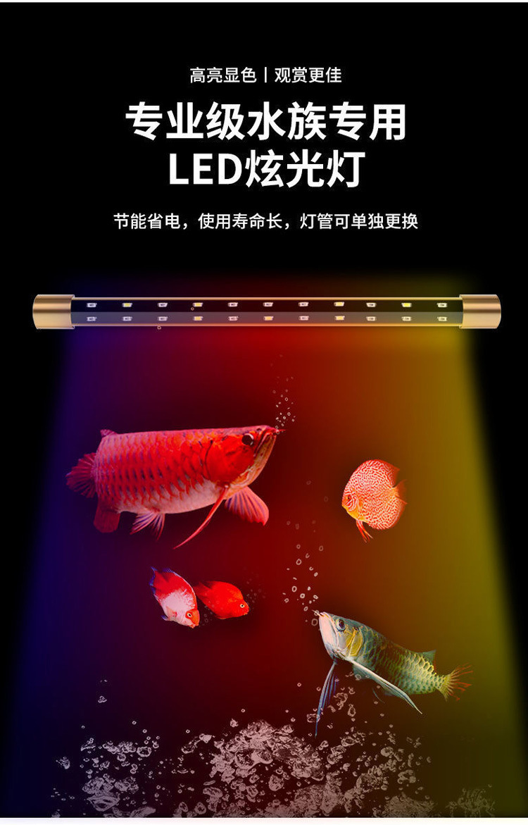 3a5efc82-fdc0-4800-bea2-5d2399982b70.jpe