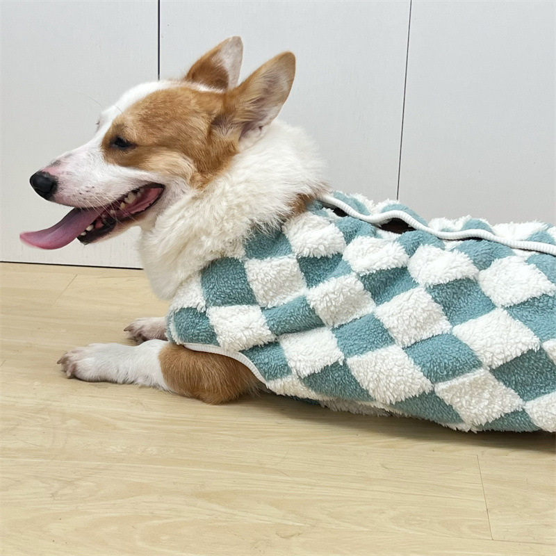 db8083e2-58cc-4fc9-9f3a-176df0ffa549.jpe