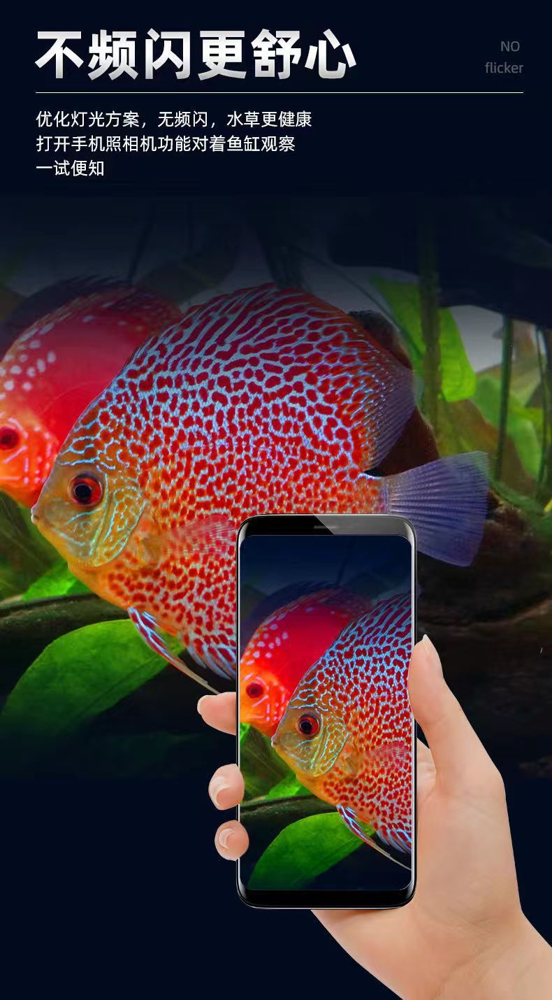 7452a76e-0a49-43b3-82f1-51024447c2f3.jpe