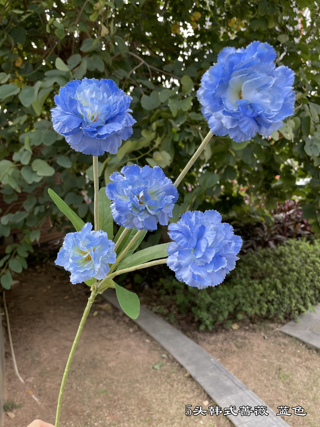 微信图片_20211027175508