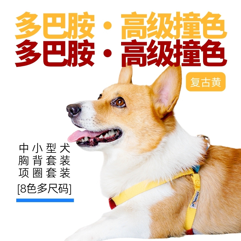 多巴胺撞色 (7).jpg