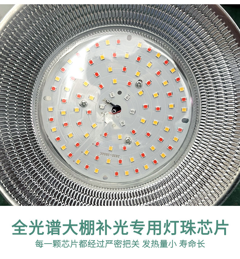 b1422482-2f1c-4569-9cc9-1608f468b1ce.jpe