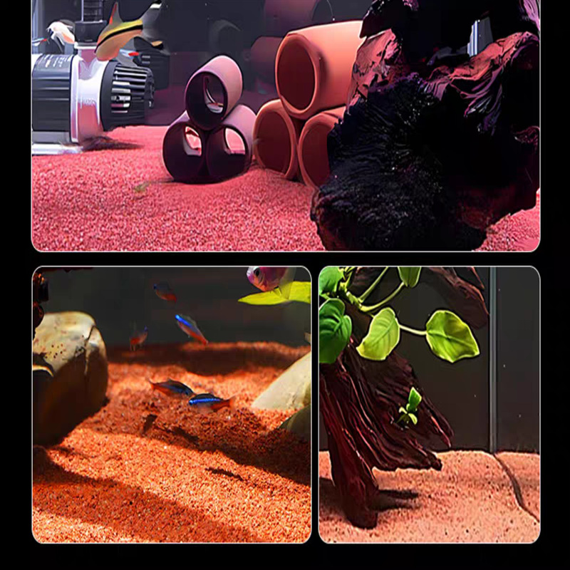 水族底沙 (1)