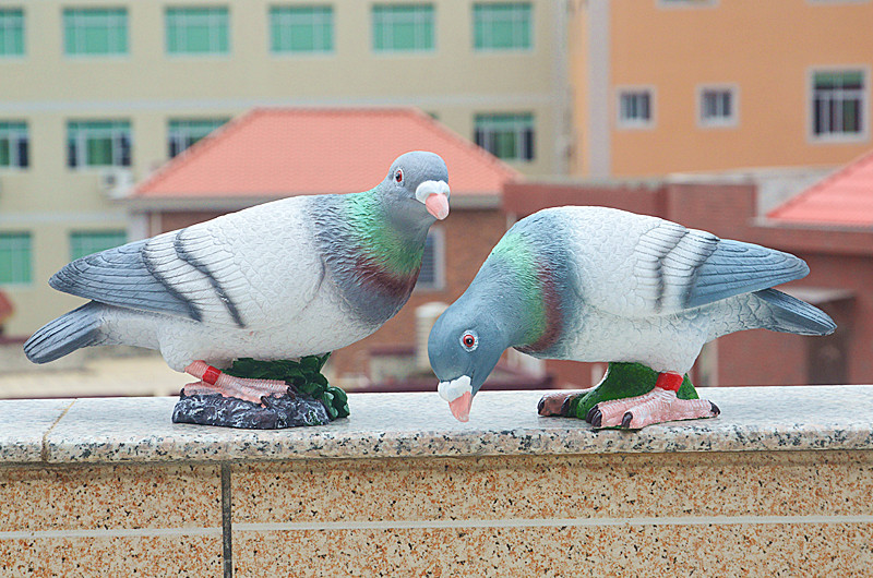 DSC_0031_副本.jpg