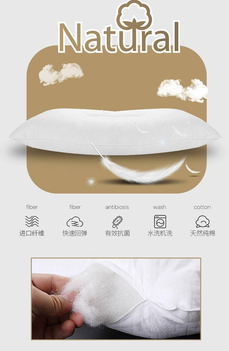 b7f6d814-da4e-4215-95d3-ccf7006f22b3.jpe