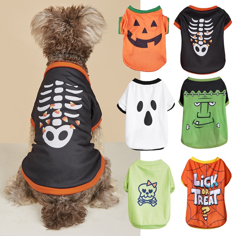 01首图2