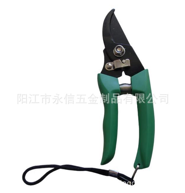 微信图片_20230413184331