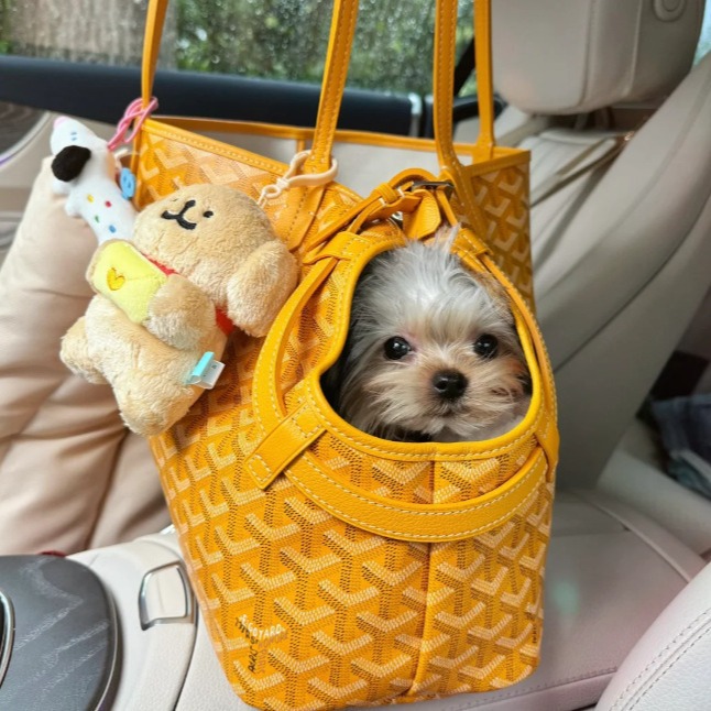 2024-09-17 17:10:56.jpg