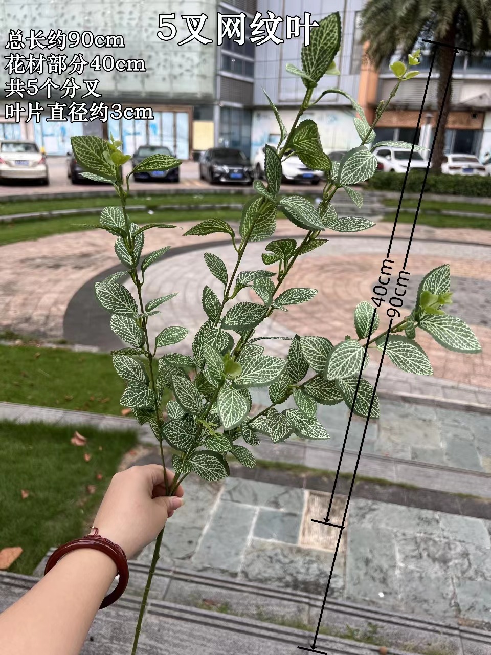 微信图片_20230831153454