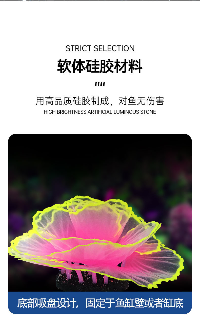 生菜珊瑚详情_02.jpg