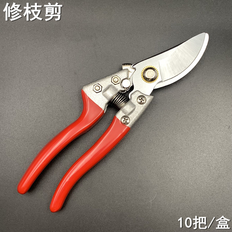 QQ图片20210709122406