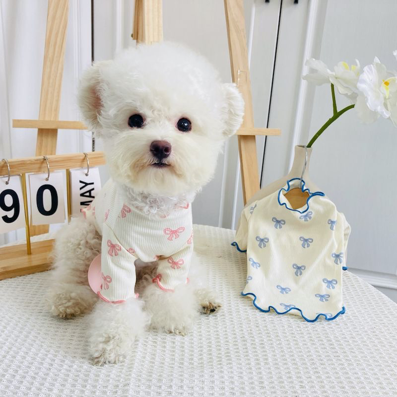 3658b6c8-4f87-47f6-b79f-ddfb8b8d67e1.jpe