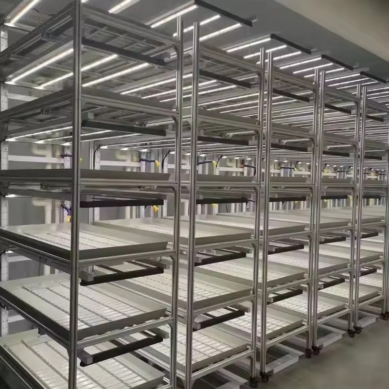 H91ef055b56bc4db597a494a4eb85e