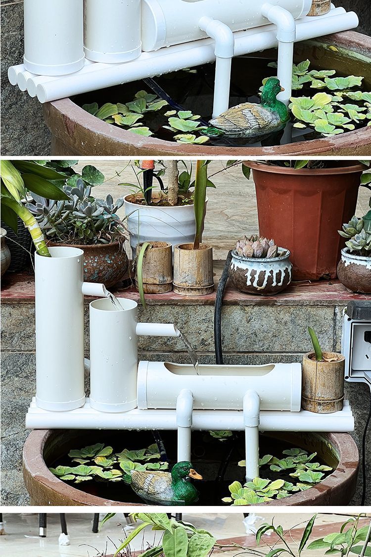 9d2a5530-2ff6-49a0-a8af-4dc42eddb69d.jpe