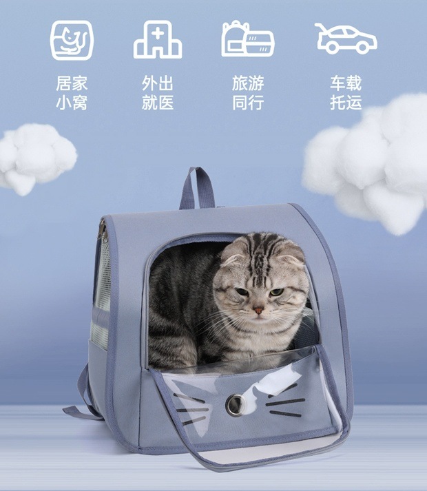 0c4463d2-449a-4557-85f7-4229774f6056.jpe