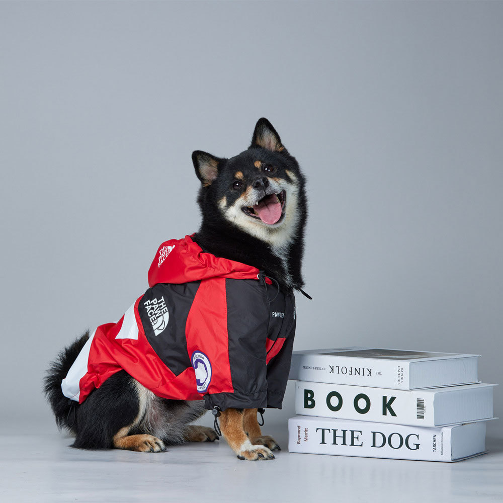 O1CN01eLKhfE288kwsnebhw_!!2214