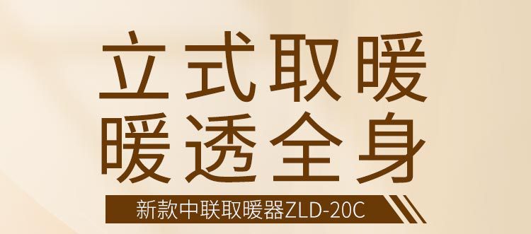 ZLD-20A详情_02.jpg