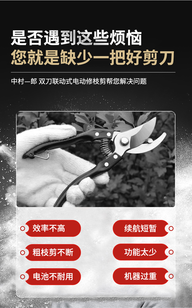 详情正确_03.jpg