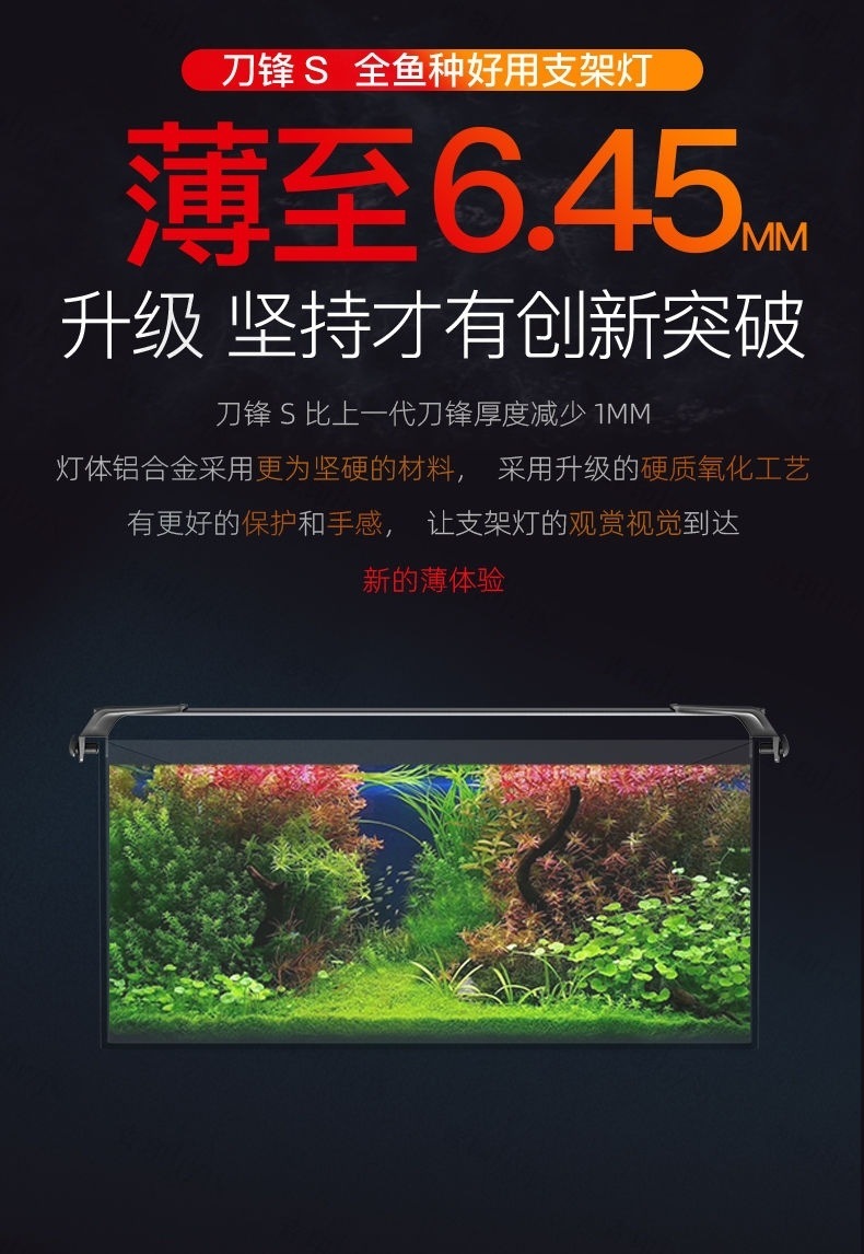 0edff264-0716-4531-9c31-5b01d1c28186.jpe