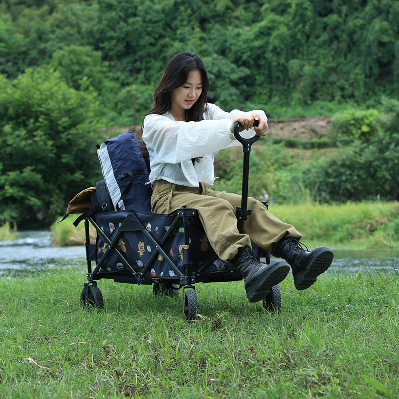 HP3A1886.jpg
