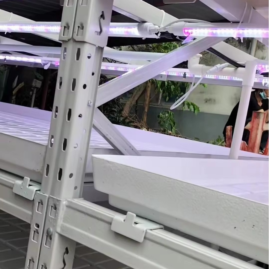 2024-04-25 21:11:18.jpg