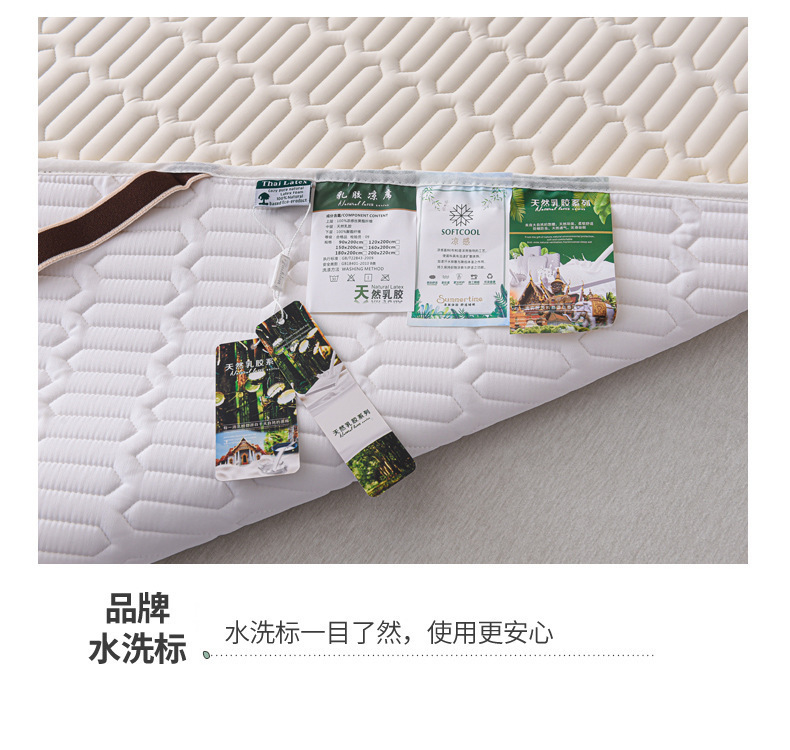 复制_ALEX泰国A类天然乳胶凉席可水洗夏季冰.jpg