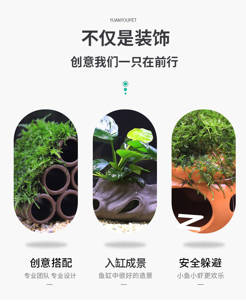 034a546a-c404-494c-87f0-cbe90c58a1da.jpe