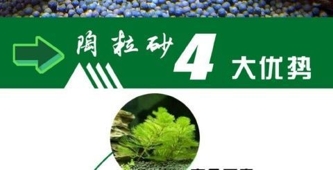 a4899d78-e399-4905-ac91-9fce33bad105.jpe