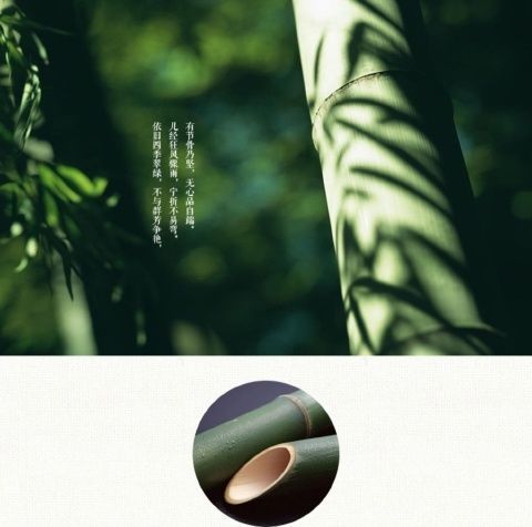 945ff663-85f4-4533-b228-4f76a1245e41.jpe