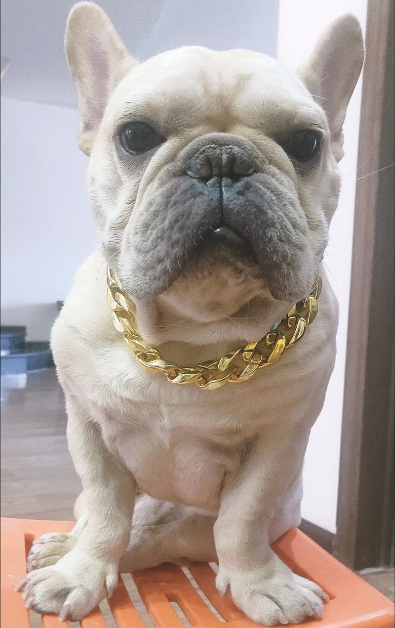 eb059e19-857f-4527-9026-744b06