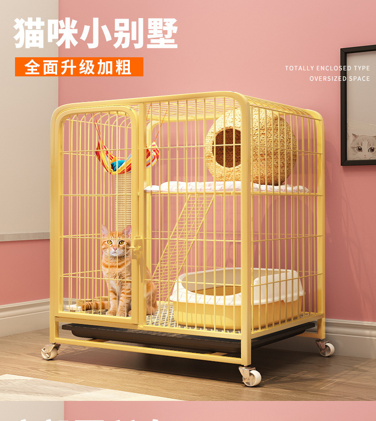 ea24d946-7d2c-43a4-902f-eec3d5229a69.jpe