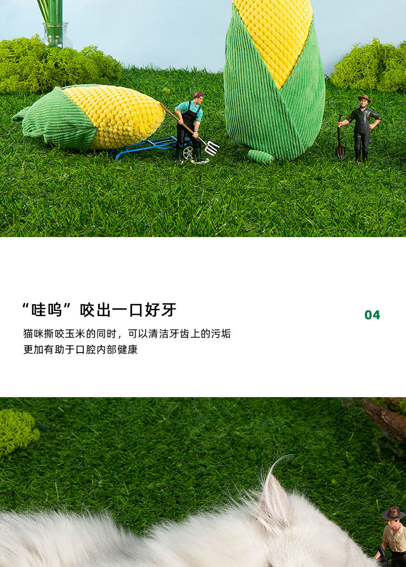 未标题-1_07.jpg