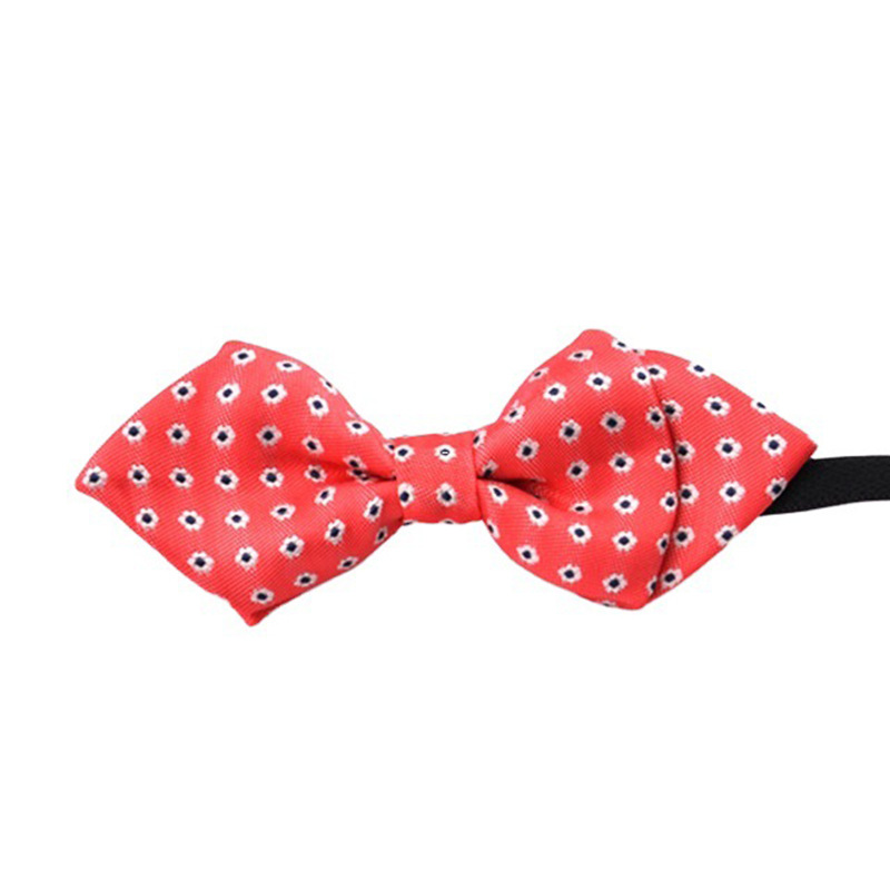 主图-02