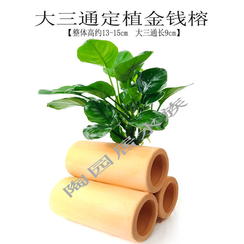 77c6e92d-8b1e-4b0f-8349-5cbde43c586f.jpe