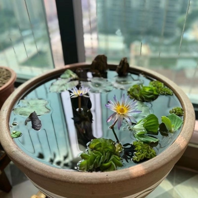 4eecddd2-a3cc-443f-ba6e-d0aaaea49e1e.jpe