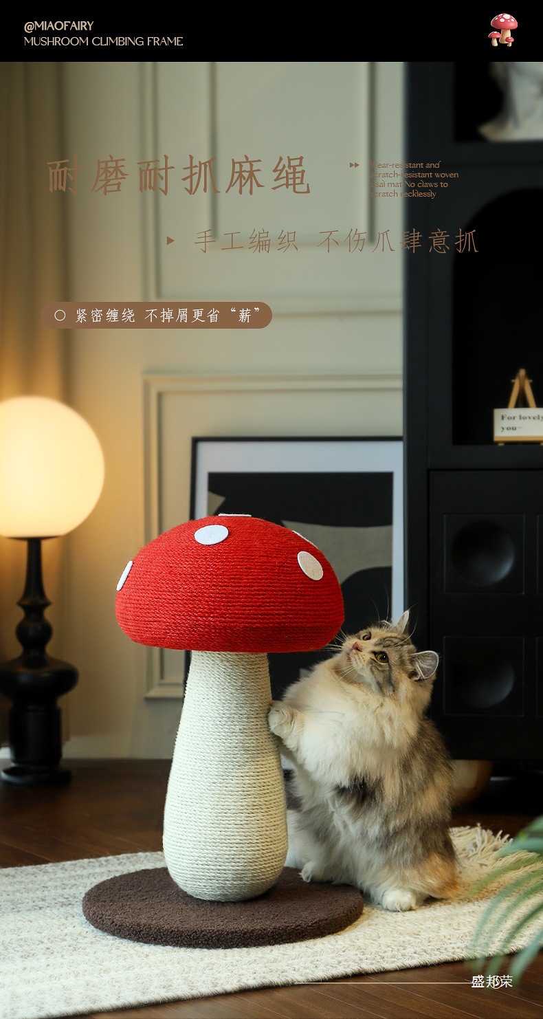 06.jpg?x-oss-process=image/format,png